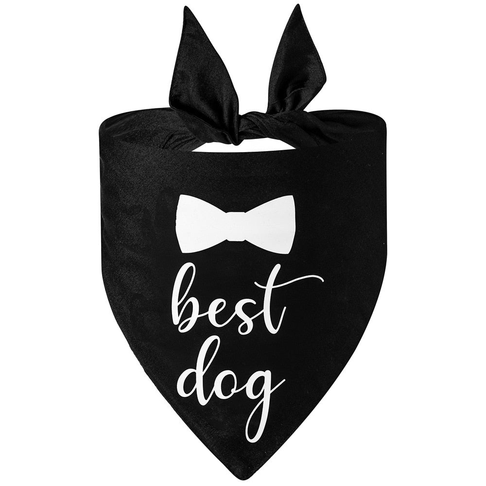 PET WEDDING BANDANA COLLECTION