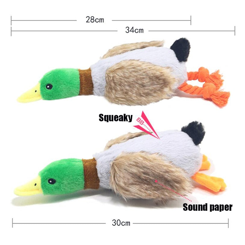 WILD DUCK DOG TOY WITH SQUEAK Posh Pet Supply Co