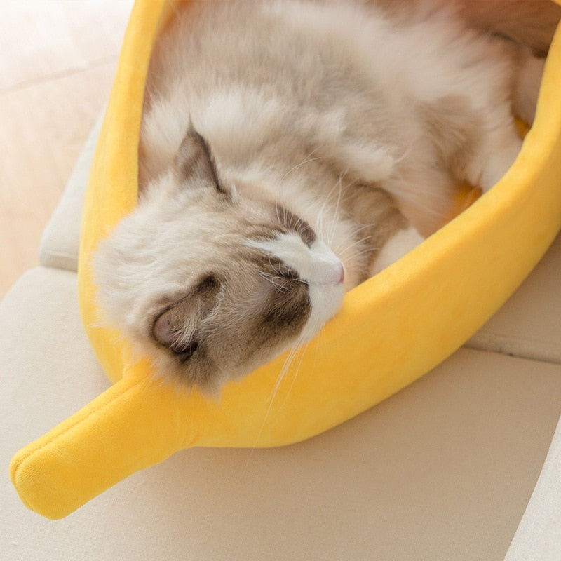 THE BANANA CAT BED