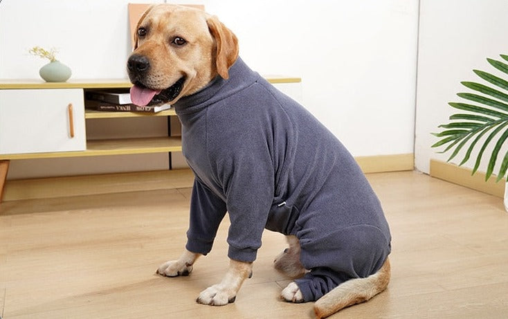 THE ODEN LARGE DOG ONSIE