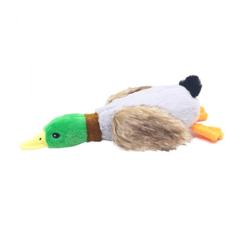 WILD DUCK DOG TOY WITH SQUEAK