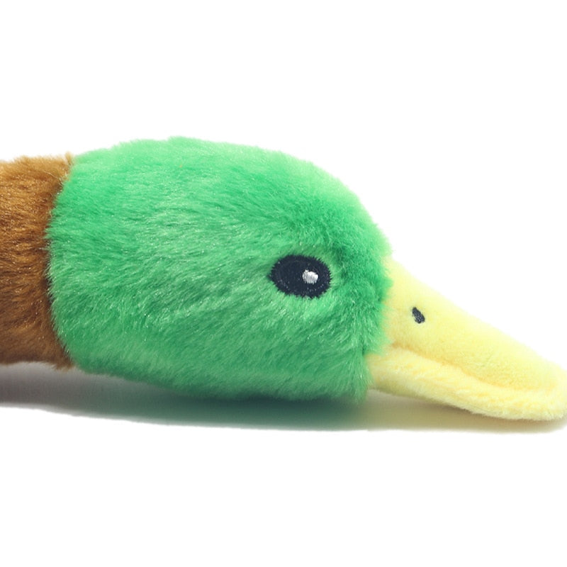 WILD DUCK DOG TOY WITH SQUEAK