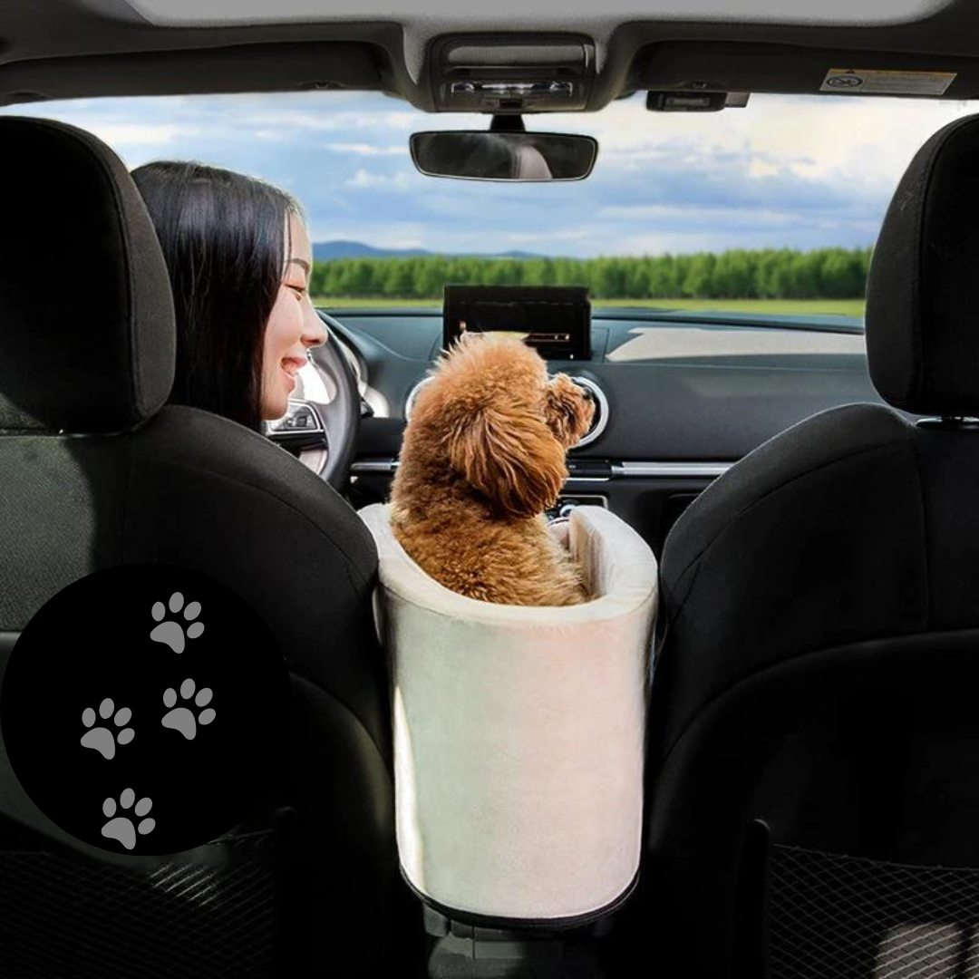 Pet bed car outlet seat