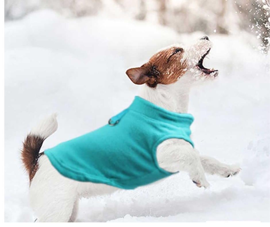 THE COACH WINTER FLEECE FOR SMALL DOGS