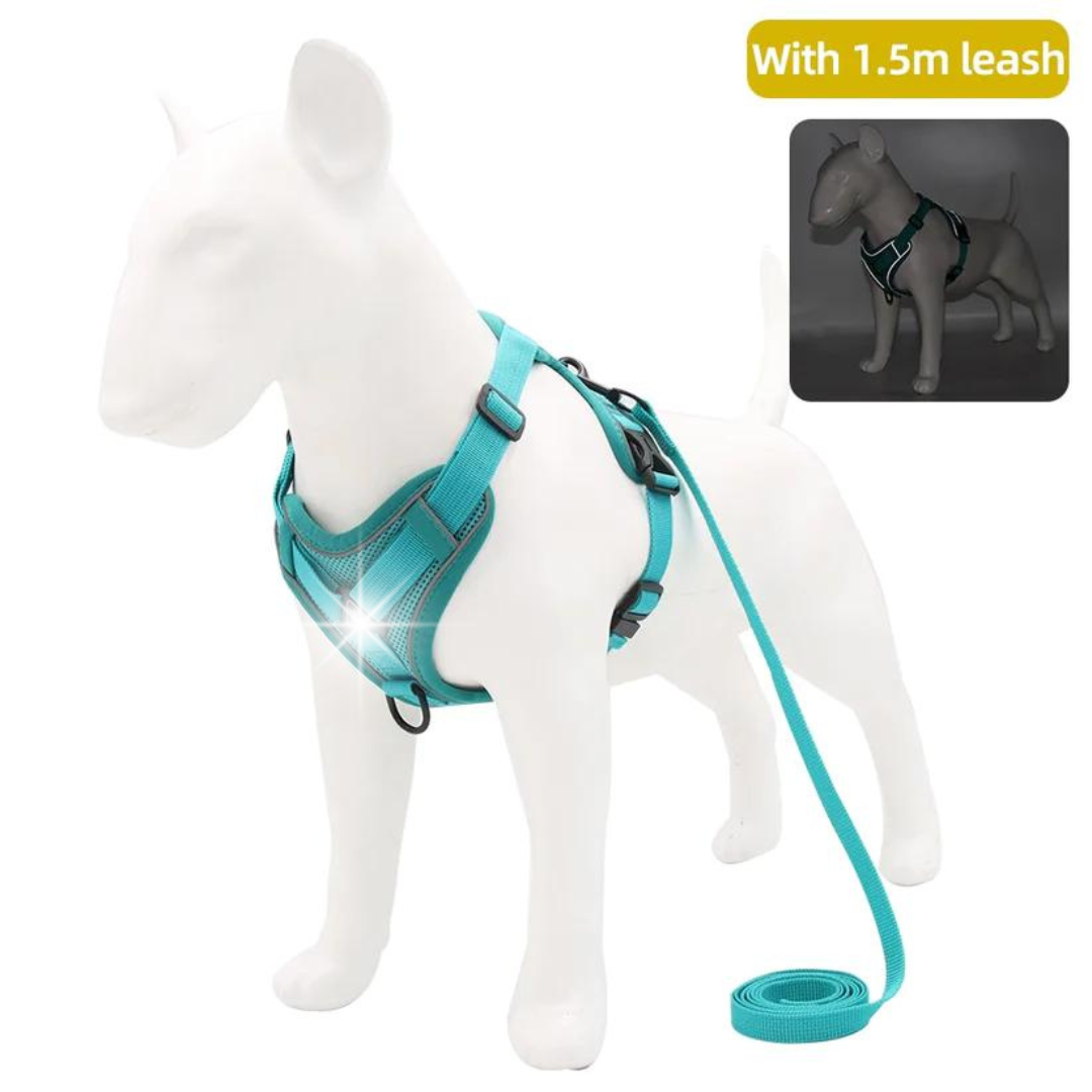 Posh 2025 dog harness