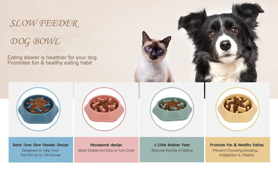 INTERACTIVE SLOW FEED DOG FOOD BOWL