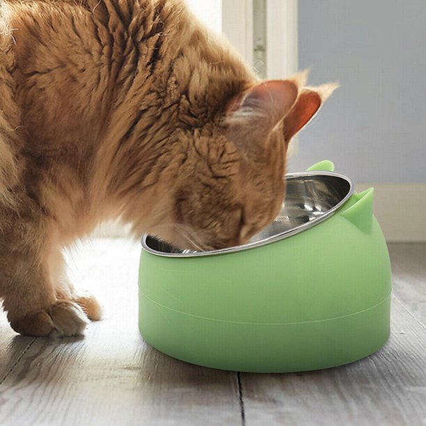 RAISED NO SLIP INSULATED CAT FOOD AND WATER BOWL