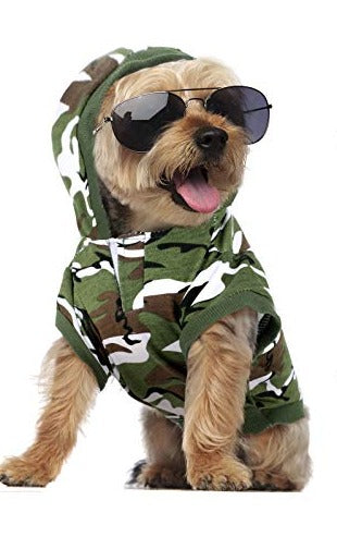 Hunter costume for top dog