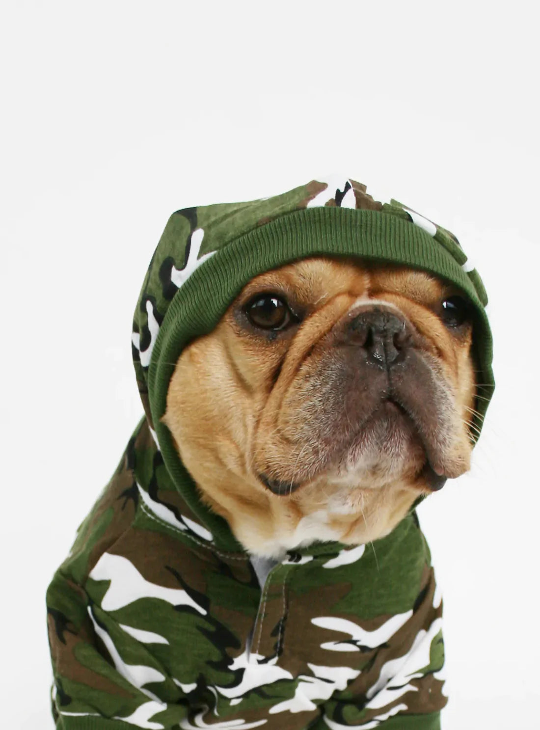 Camo dog outlet hoodie