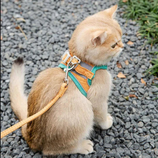 REFLECTIVE CAT HARNESS AND LEASH COLLECTION