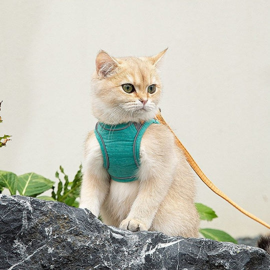 REFLECTIVE CAT HARNESS AND LEASH COLLECTION