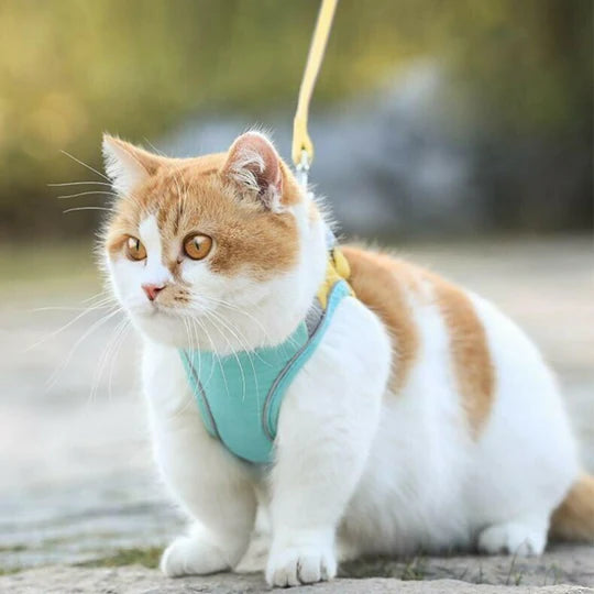 REFLECTIVE CAT HARNESS AND LEASH COLLECTION