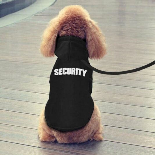 THE DID SOMEBODY CALL SECURITY HOODIE