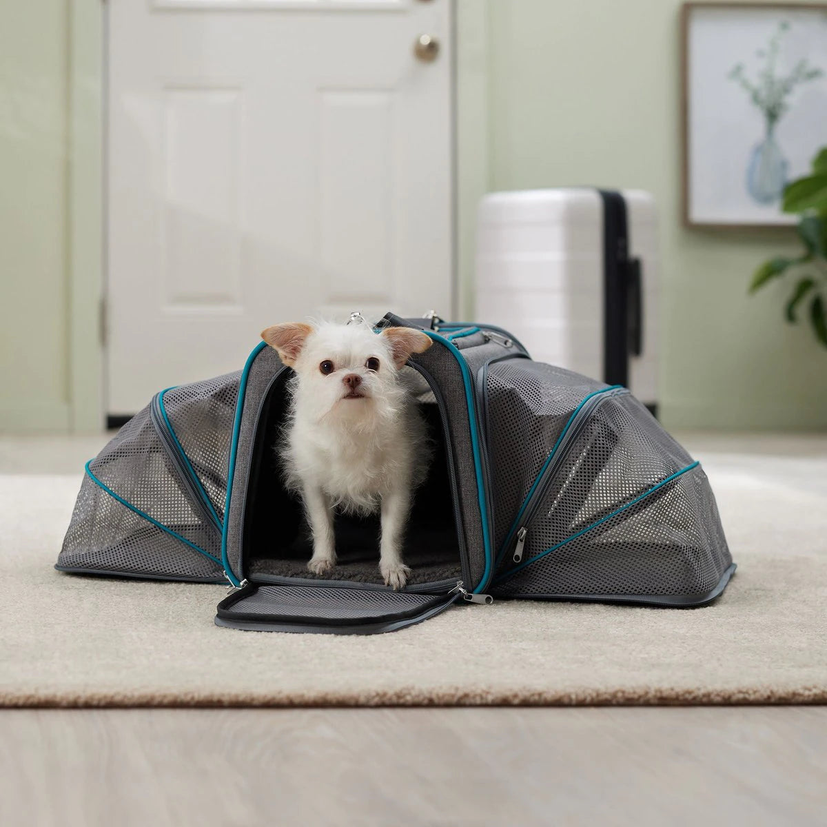 DOG CAT CARRIER BREATHABLE TRAVEL TOTE BAG