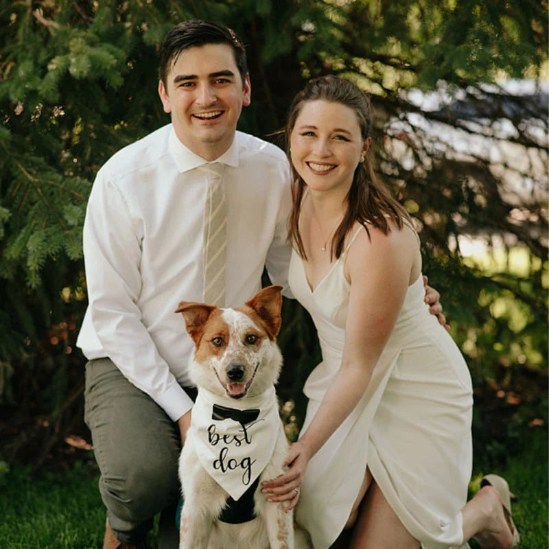 PET WEDDING BANDANA COLLECTION