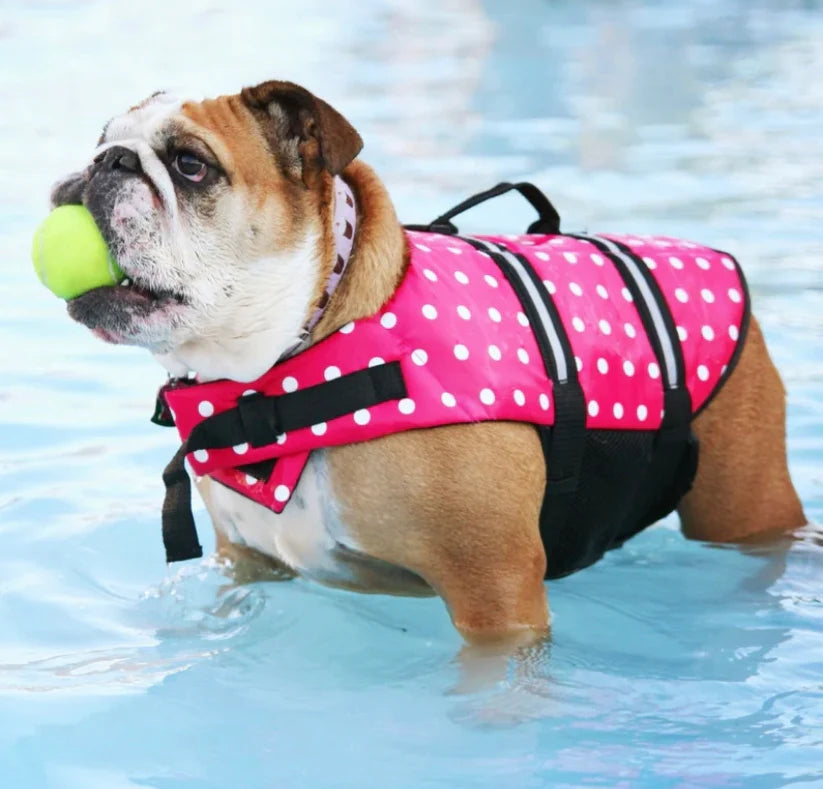 POLKA DOT DOG LIFE JACKET