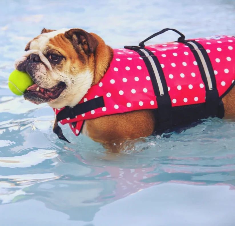 POLKA DOT DOG LIFE JACKET