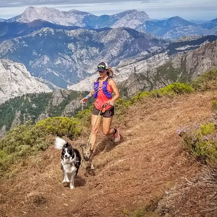 HANDS FREE BUNGEE DOG LEASH