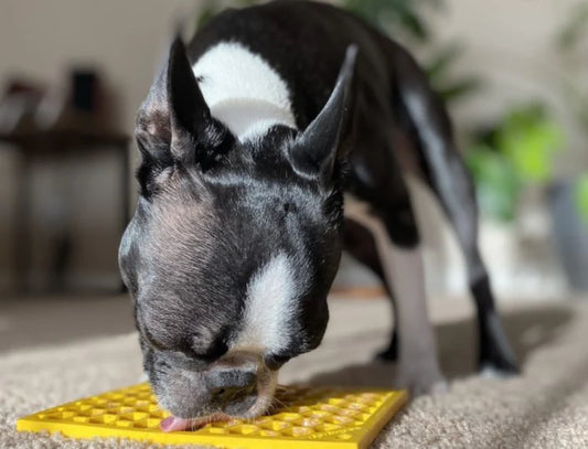 SILICONE LICK TREAT MAT